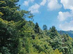 -娄山关景区