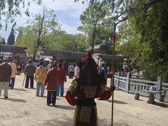 -大槐树寻根祭祖园