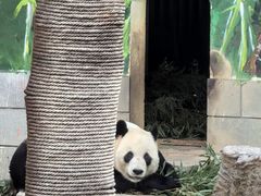 -南昌动物园