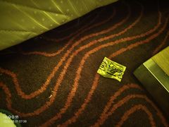 -上海松江假日酒店