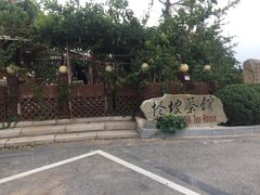 -怪坡茶馆
