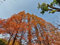 -无锡惠山寺