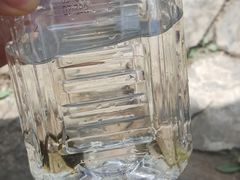 -沕沕水生态风景区