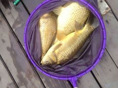 -酷鱼垂钓CLUB(朝阳区博大路店 )