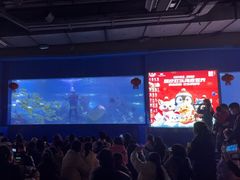 -重庆欢乐海底世界