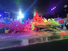 -石家庄市植物园