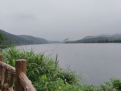-黄牛肉馆·皖南土菜