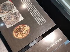 -浙江自然博物院(杭州馆)