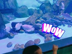 -常州海昌海洋探索馆