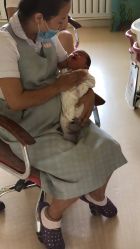 -皇家月府月子中心(沈阳店)