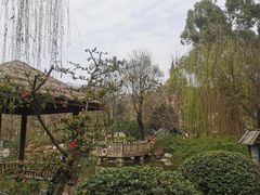 -五凤溪古镇