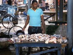 -尼甘布海鲜市场