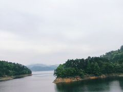 -龙川湾千岛湖国际垂钓中心