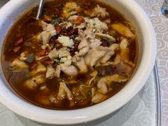 -山东鲁能乒乓球学校