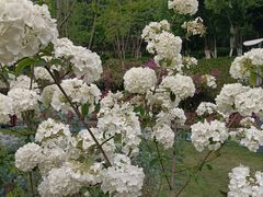 -重庆平顶山公园