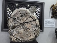 -游龙石文化科普馆
