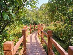 -上海吴淞炮台湾国家湿地公园