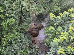 -南海湾森林生态园