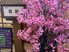 -真剑日本料理·铁板烧(贵州路店)