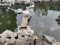 -龙华寺