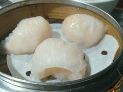 虾饺-糖朝(尖沙咀店)