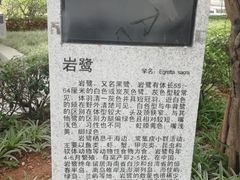 -时光花园(白鹭洲店)