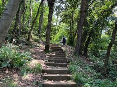-青龙山国家森林公园