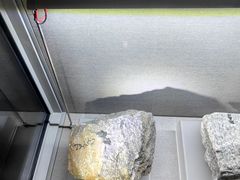 -安徽省地质博物馆