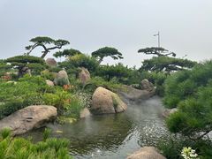 -罗红摄影艺术馆