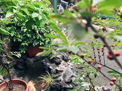 -火火咖啡&茶空间