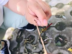 -百里山水画廊