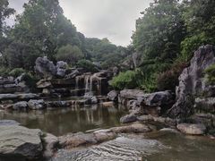 -东莞植物园