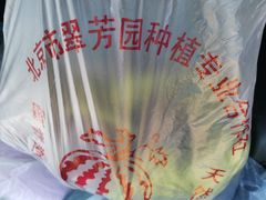 -庞各庄翠芳园西瓜蔬菜基地采摘园