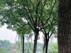 -稻香湖公园