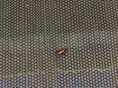 -宝丽金大酒店·洗浴中心