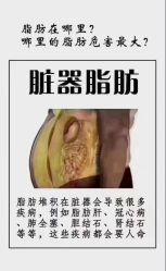 -Lily纤美·科技减脂中心