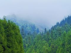-太阳湾风景区