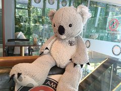 -了不起的考拉咖啡店(高新店)