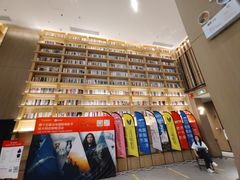 -深影国际影城(学院南路店CGS中国巨幕店)