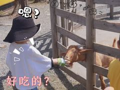 -前小桔亲子创意农场·草莓采摘·露营烧烤