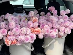 -梨媛花艺设计