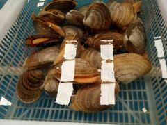 -韩家墅海吉星农产品批发市场