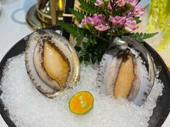 六头大连鲍鱼-鲐赏河豚(长寿店)
