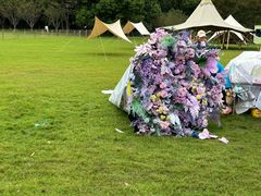 -昆山城市生态森林公园