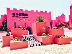 -漳州滨海火山岛自然生态风景区