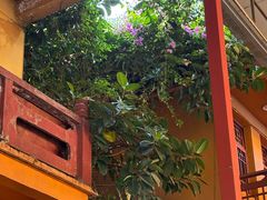 -福州开元寺