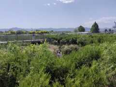 -亲兄弟真人CS团建拓展基地