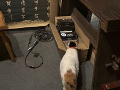 -江湖边·小生活