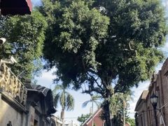 -中山路步行街