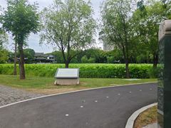 -高子水居